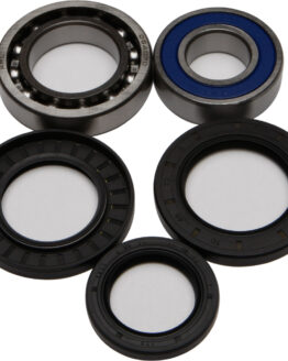 Wheel Bearing & Seal Kit