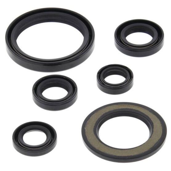 Vertex Engine Oil Seal Kit 822338