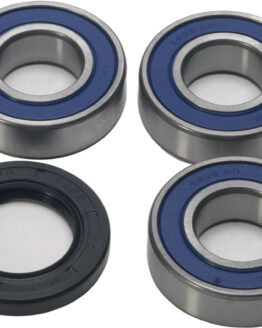 Wheel Bearing & Seal Kit