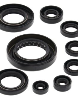 Oil Seal Kit