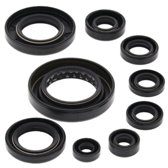 Oil Seal Kit