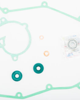 Water Pump Repair Kit