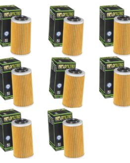 HF556 Oil Filter - 8 Pack