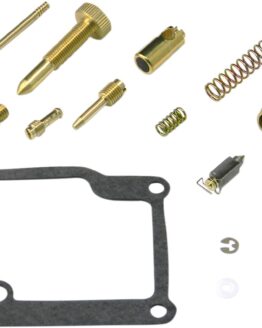 Carburetor Repair Kit
