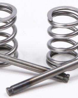 Steel Exhaust Valve/Spring Kit