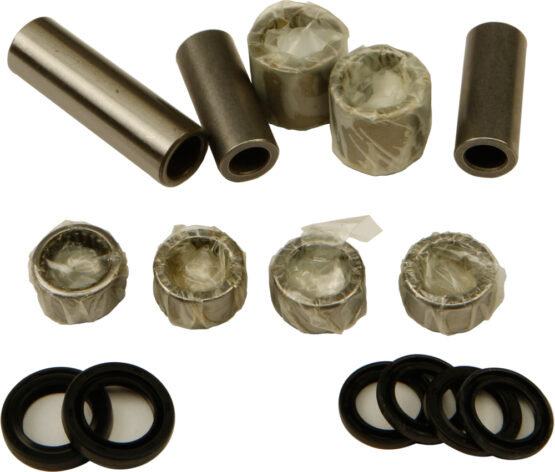 Swing Arm Linkage Bearing & Seal Kit