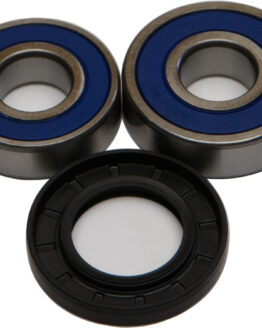 Wheel Bearing & Seal Kit