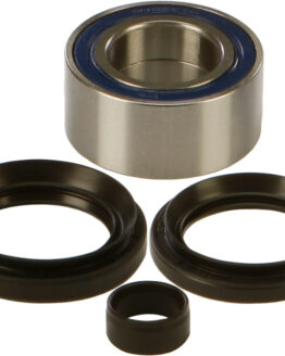 Wheel Bearing & Seal Kit