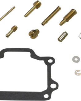 Carburetor Repair Kit