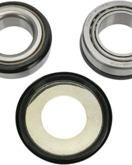Pivot Works Steering Stem Bearing Kit