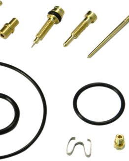 Carburetor Repair Kit