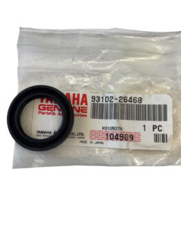 Oil Seal