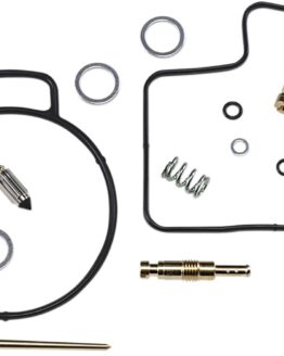 Carburetor Repair Kit
