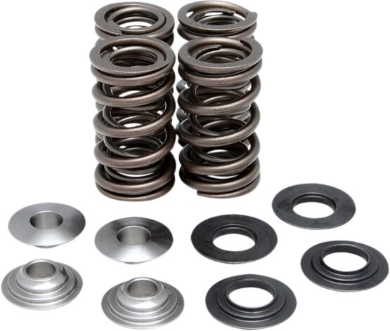 Racing Valve Spring Kit