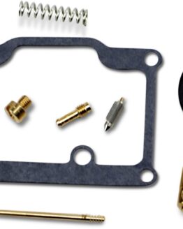 Carburetor Repair Kit