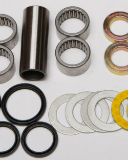 Swing Arm Bearing Kit