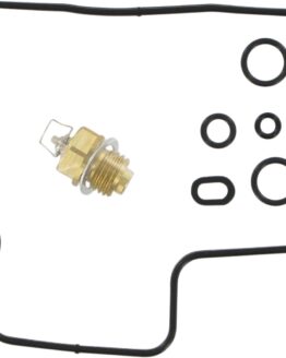 Carburetor Repair Kit