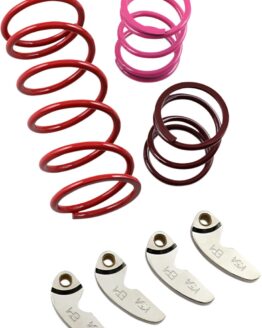 EPI Mudder Clutch Kit AW455750