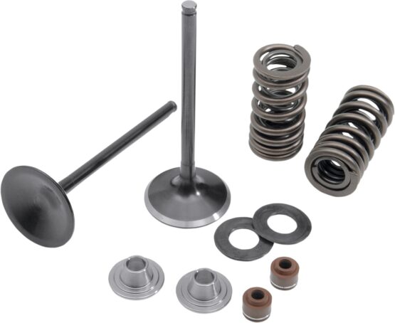 Intake Valve & Spring Conversion Kit - Image 2