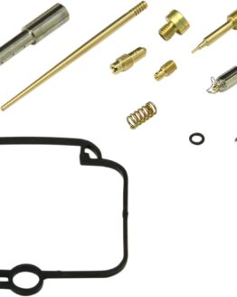 Carburetor Repair Kit