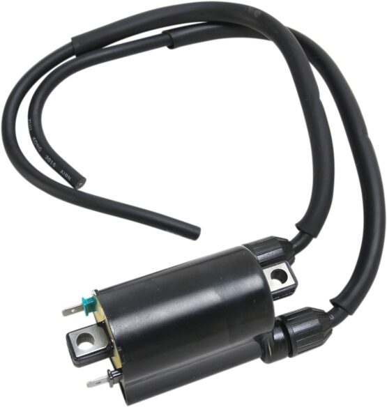 Replacement Ignition Coil, Dual Lead