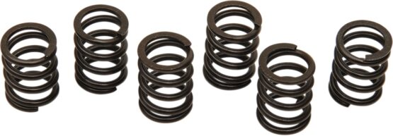 Barnett Clutch Spring Kit For Suzuki TL 1000 S/R