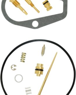 Carburetor Repair Kit