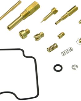 Carburetor Repair Kit