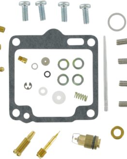 Carburetor Repair Kit