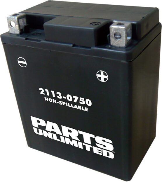 AGM Maintenance Free Battery 100CCA 12V 6Ah Factory Activated