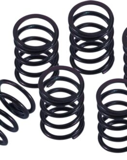 Barnett Clutch Spring Kit