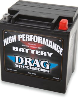 YIX AGM Maintenance Free Battery 385CCA 12V 30Ah Factory Activated