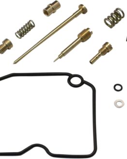 Carburetor Repair Kit
