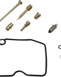 Carburetor Repair Kit