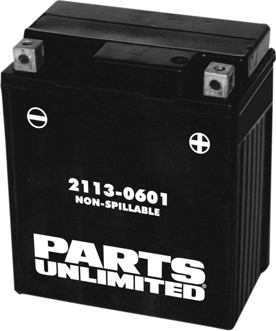 AGM Maintenance Free Battery 120CCA 12V 7Ah Factory Activated