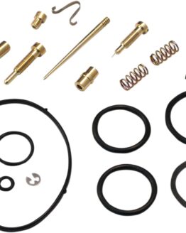 Carburetor Repair Kit