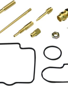 Carburetor Repair Kit