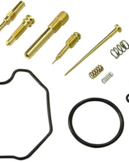 Carburetor Repair Kit
