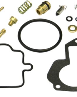 Carburetor Repair Kit