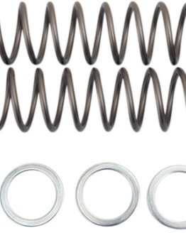 Fork Springs .40KG