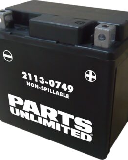 AGM Maintenance Free Battery 80CCA 12V 4Ah Factory Activated