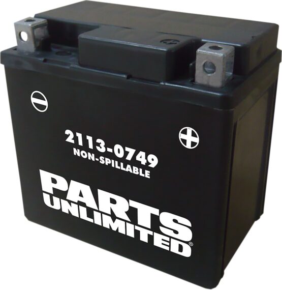 AGM Maintenance Free Battery 80CCA 12V 4Ah Factory Activated