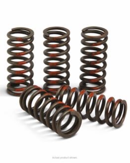 Performance Clutch Springs
