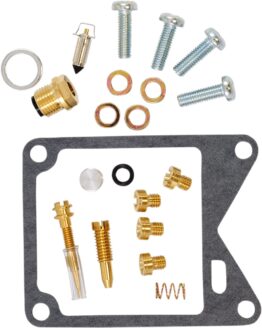 Carburetor Repair Kit