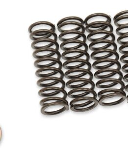 Barnett Clutch Spring Kit