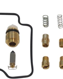 Carburetor Repair Kit