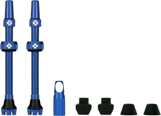 Tubeless Valve