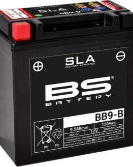 SLA Factory Activated AGM Maintenance Free Battery