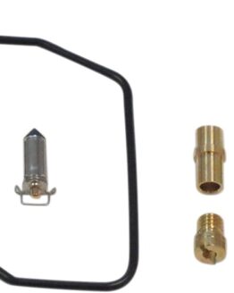 Carburetor Repair Kit