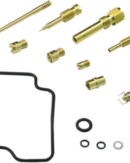 Carburetor Repair Kit